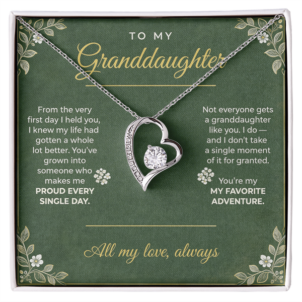 Amity Heart Necklace - Granddaughter You're My Favorite Adventure